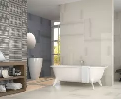 9513 (Porcelanite Dos)