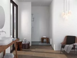 8202 (Porcelanite Dos)