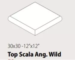Ступень CSATAWDU02 Top Ang Wild Dust 30x30 Sant Agostino