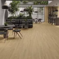 Dexter (STN Ceramica)