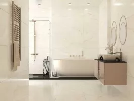 Prisma Onyx (VSA)